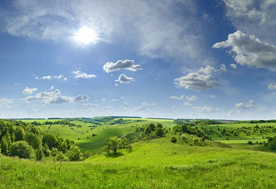 розлив родниковой воды